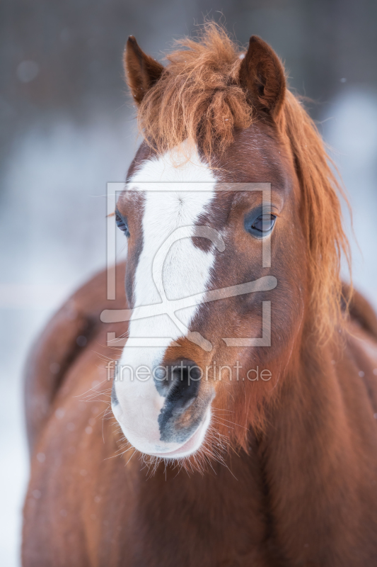 frei wählbarer Bildausschnitt für Ihr Bild auf Glas-Schneidebrett