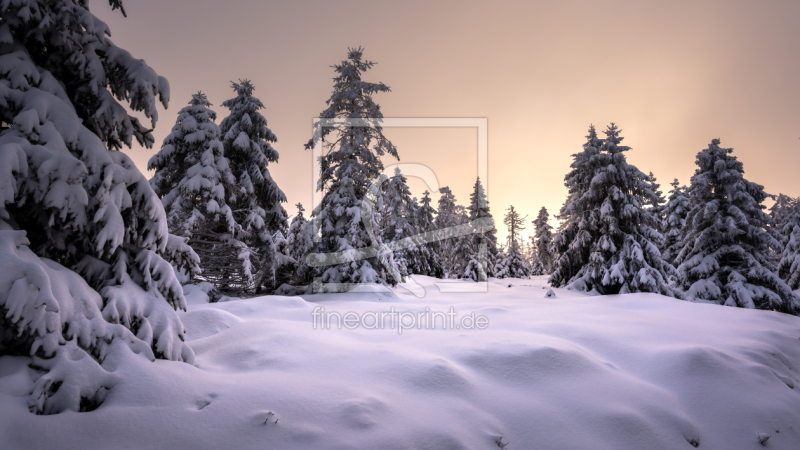 frei wählbarer Bildausschnitt für Ihr Bild auf Glas-Schneidebrett