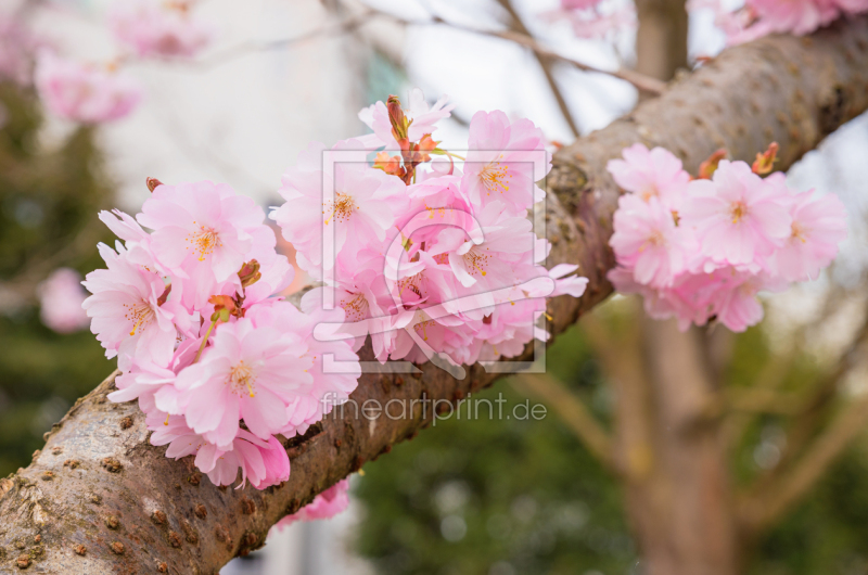 frei w&auml;hlbarer Bildausschnitt f&uuml;r Ihr Bild auf Glas-Schneidebrett