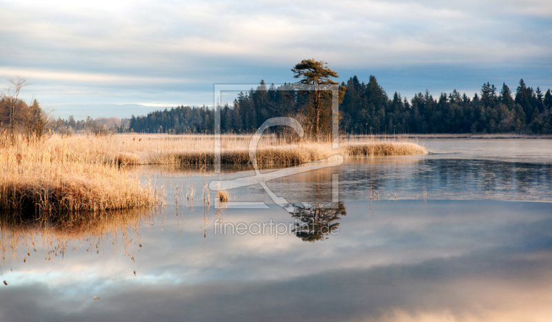 frei wählbarer Bildausschnitt für Ihr Bild auf Glas-Schneidebrett