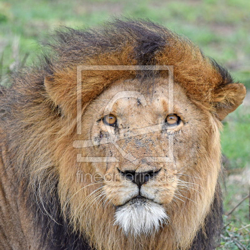 frei w&auml;hlbarer Bildausschnitt f&uuml;r Ihr Bild auf Glas-Schneidebrett