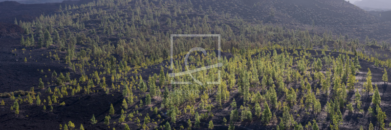 frei w&auml;hlbarer Bildausschnitt f&uuml;r Ihr Bild auf Glas-Schneidebrett