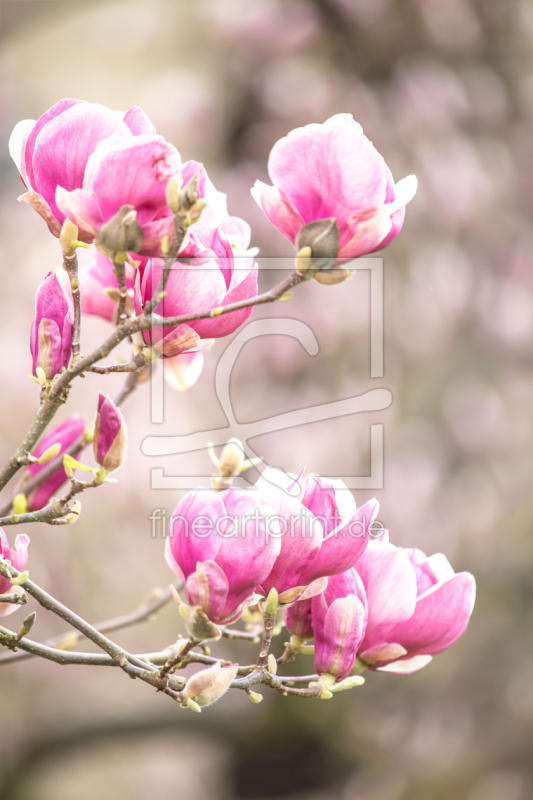 frei w&auml;hlbarer Bildausschnitt f&uuml;r Ihr Bild auf Glas-Schneidebrett