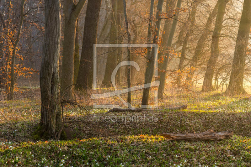 frei wählbarer Bildausschnitt für Ihr Bild auf Glas-Schneidebrett