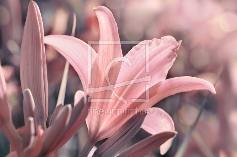 frei wählbarer Bildausschnitt für Ihr Bild auf Glas-Schneidebrett