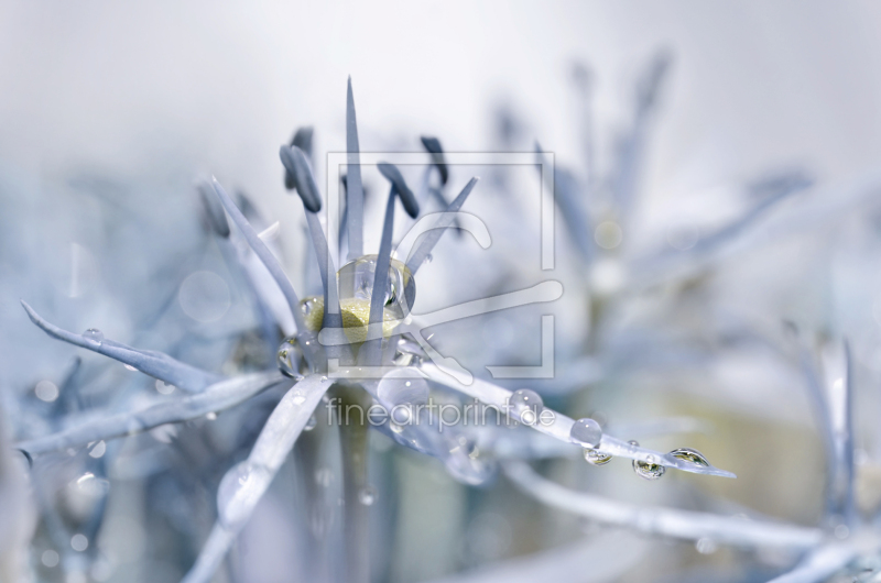 frei w&auml;hlbarer Bildausschnitt f&uuml;r Ihr Bild auf Glas-Schneidebrett