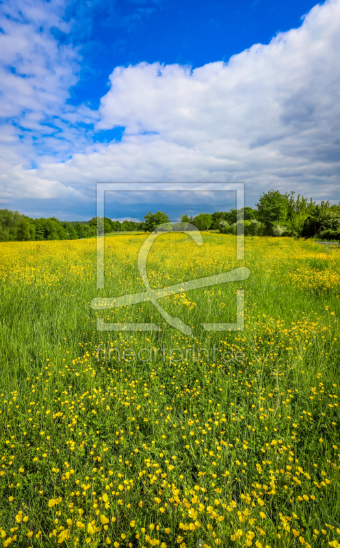 frei w&auml;hlbarer Bildausschnitt f&uuml;r Ihr Bild auf Glas-Schneidebrett