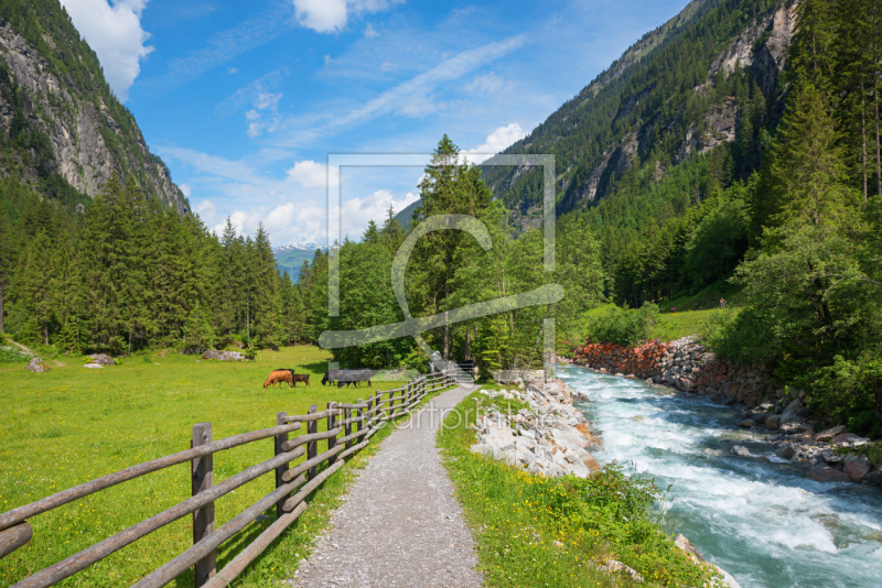 frei wählbarer Bildausschnitt für Ihr Bild auf Glas-Schneidebrett