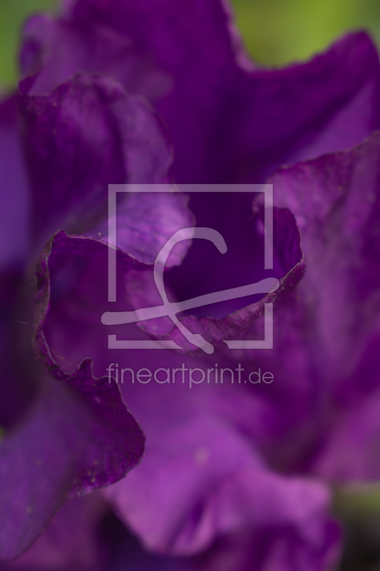 frei w&auml;hlbarer Bildausschnitt f&uuml;r Ihr Bild auf Glas-Schneidebrett