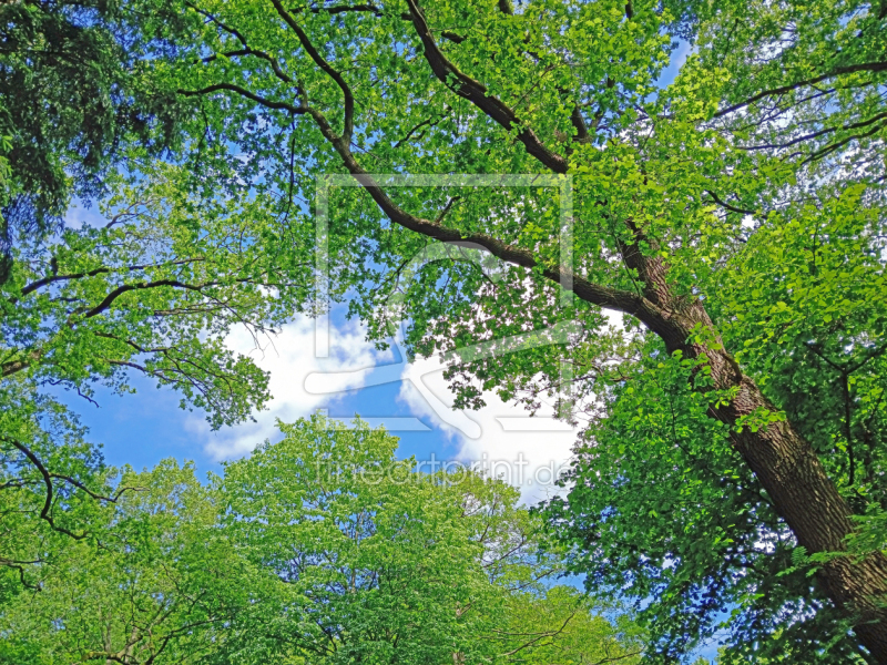 frei w&auml;hlbarer Bildausschnitt f&uuml;r Ihr Bild auf Glas-Schneidebrett
