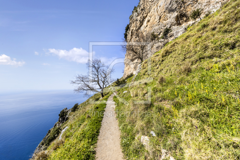 frei w&auml;hlbarer Bildausschnitt f&uuml;r Ihr Bild auf Glas-Schneidebrett