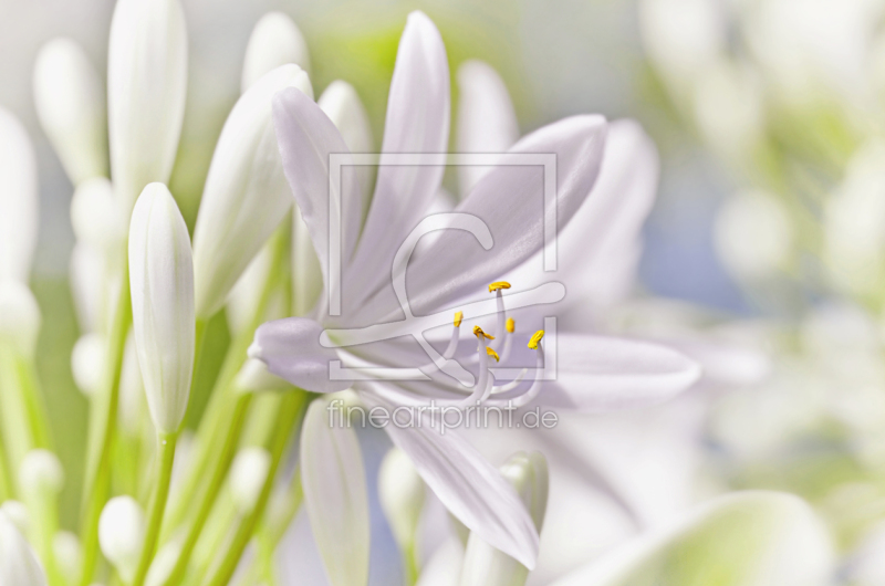 frei wählbarer Bildausschnitt für Ihr Bild auf Glas-Schneidebrett