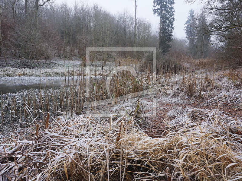 frei wählbarer Bildausschnitt für Ihr Bild auf Glas-Schneidebrett