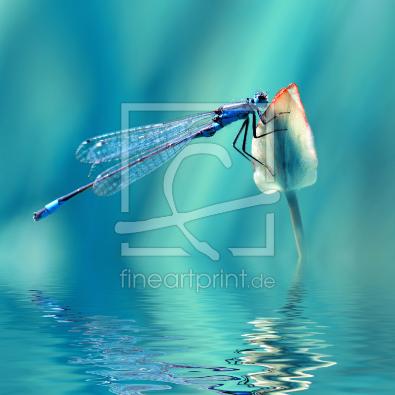 frei w&auml;hlbarer Bildausschnitt f&uuml;r Ihr Bild auf Glas-Schneidebrett