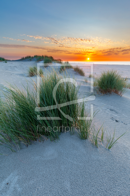 frei wählbarer Bildausschnitt für Ihr Bild auf Glas-Schneidebrett
