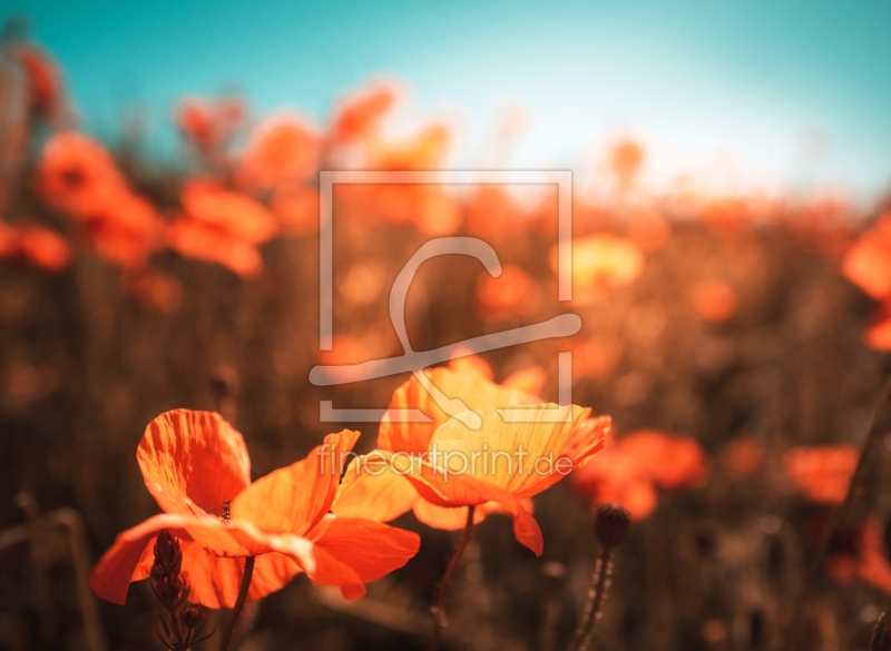 frei wählbarer Bildausschnitt für Ihr Bild auf Glas-Schneidebrett