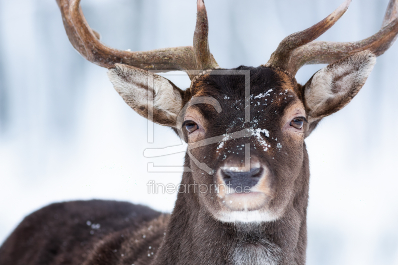 frei wählbarer Bildausschnitt für Ihr Bild auf Glas-Schneidebrett