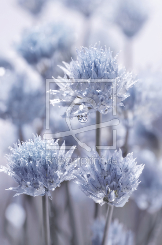 frei wählbarer Bildausschnitt für Ihr Bild auf Glas-Schneidebrett