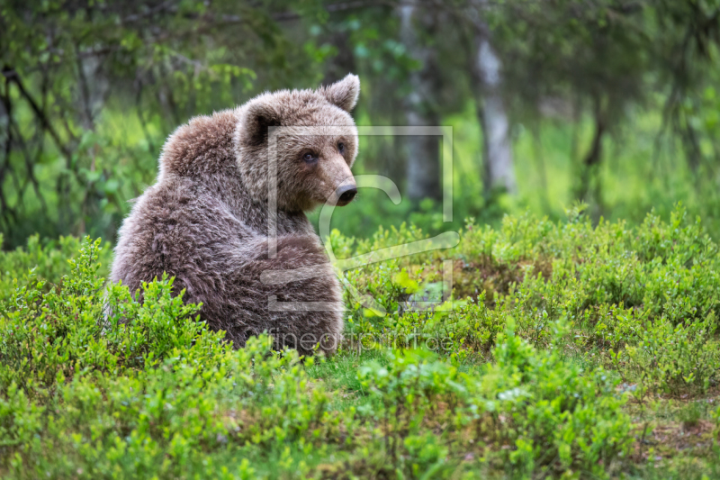 frei wählbarer Bildausschnitt für Ihr Bild auf Glas-Schneidebrett