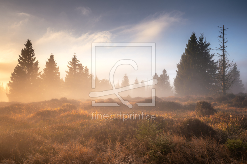 frei wählbarer Bildausschnitt für Ihr Bild auf Glas-Schneidebrett