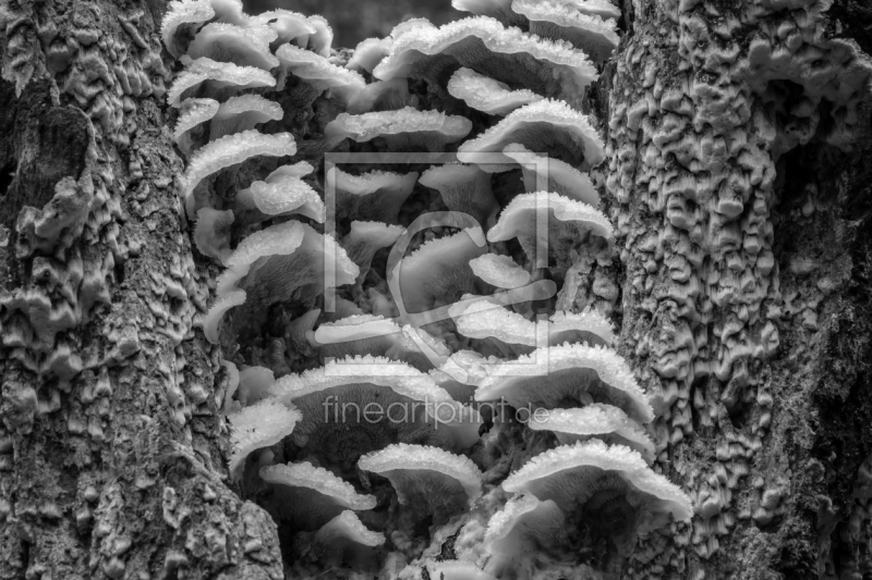 frei w&auml;hlbarer Bildausschnitt f&uuml;r Ihr Bild auf Glas-Schneidebrett