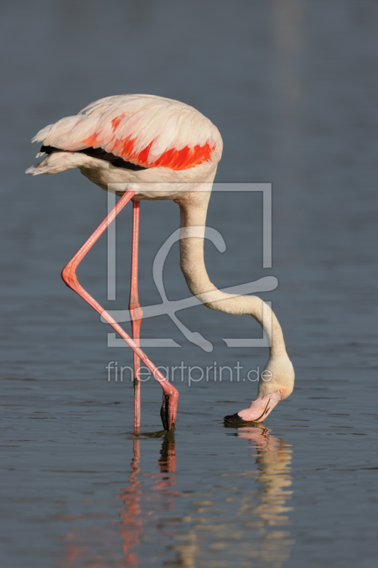 frei wählbarer Bildausschnitt für Ihr Bild auf Glas-Schneidebrett