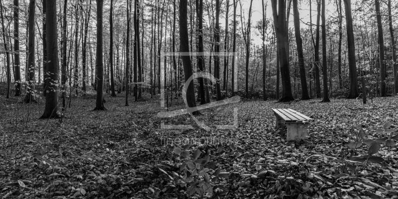 frei w&auml;hlbarer Bildausschnitt f&uuml;r Ihr Bild auf Glas-Schneidebrett