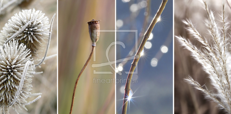 frei w&auml;hlbarer Bildausschnitt f&uuml;r Ihr Bild auf Glas-Schneidebrett