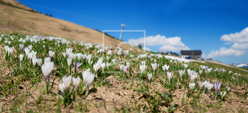 frei w&auml;hlbarer Bildausschnitt f&uuml;r Ihr Bild auf Glas-Schneidebrett