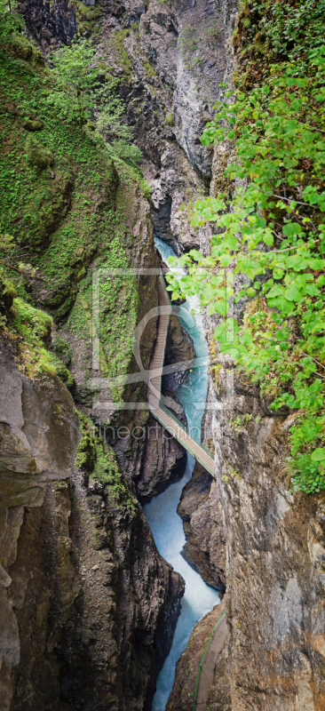 frei w&auml;hlbarer Bildausschnitt f&uuml;r Ihr Bild auf Glas-Schneidebrett
