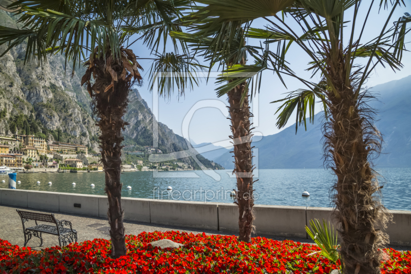 frei w&auml;hlbarer Bildausschnitt f&uuml;r Ihr Bild auf Glas-Schneidebrett