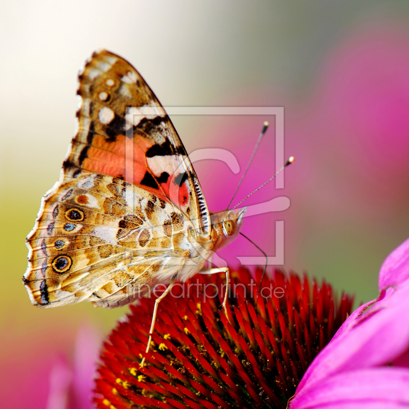 frei w&auml;hlbarer Bildausschnitt f&uuml;r Ihr Bild auf Glas-Schneidebrett