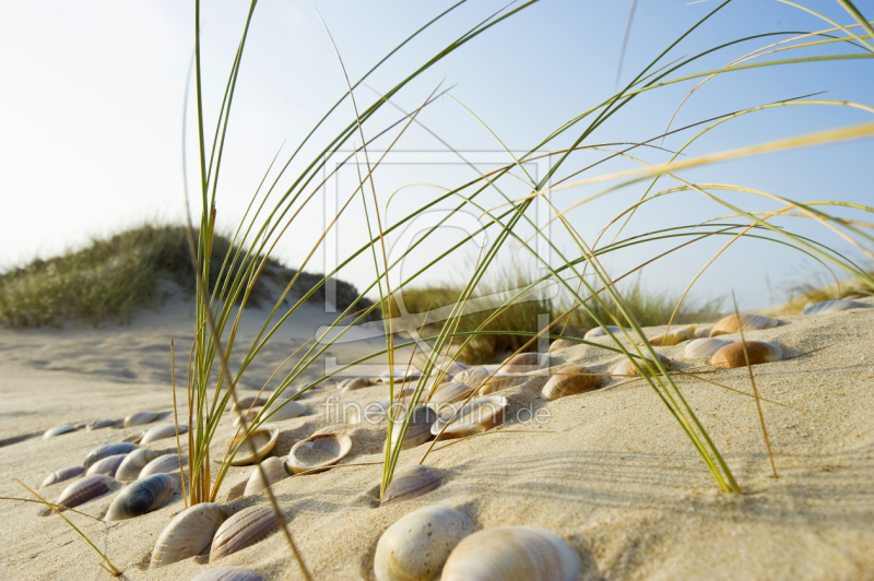 frei w&auml;hlbarer Bildausschnitt f&uuml;r Ihr Bild auf Glas-Schneidebrett