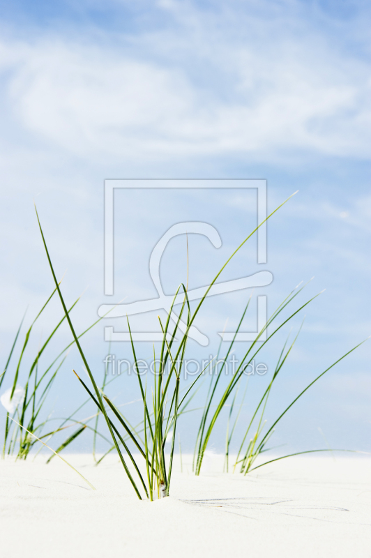 frei w&auml;hlbarer Bildausschnitt f&uuml;r Ihr Bild auf Glas-Schneidebrett