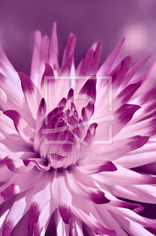 frei w&auml;hlbarer Bildausschnitt f&uuml;r Ihr Bild auf Glas-Schneidebrett