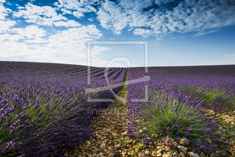 frei w&auml;hlbarer Bildausschnitt f&uuml;r Ihr Bild auf Glas-Schneidebrett
