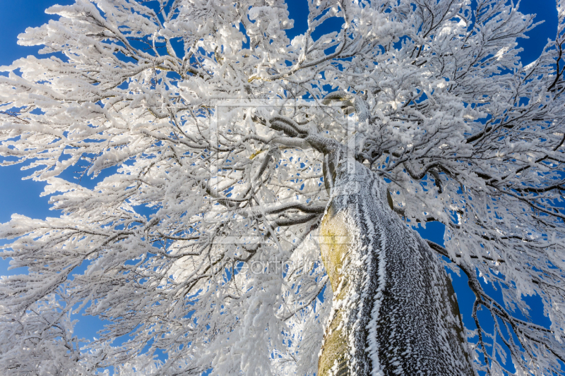 frei w&auml;hlbarer Bildausschnitt f&uuml;r Ihr Bild auf Glas-Schneidebrett