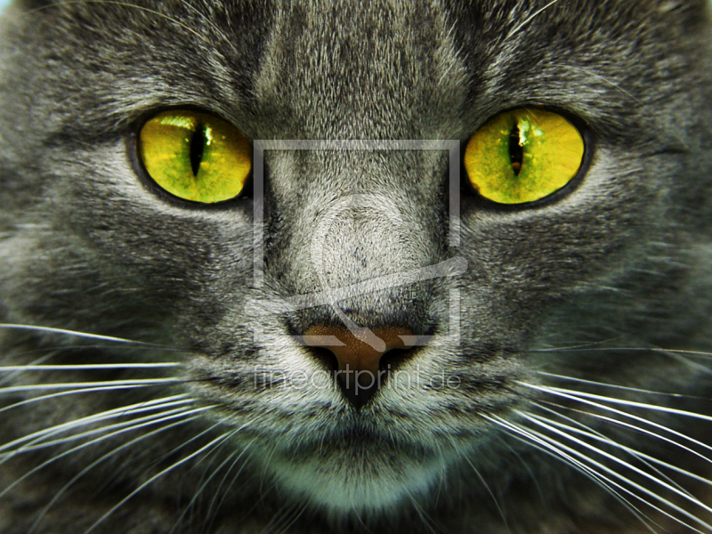 frei w&auml;hlbarer Bildausschnitt f&uuml;r Ihr Bild auf Glas-Schneidebrett