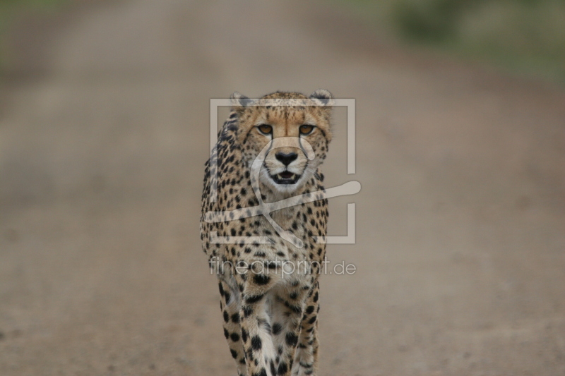 frei w&auml;hlbarer Bildausschnitt f&uuml;r Ihr Bild auf Glas-Schneidebrett