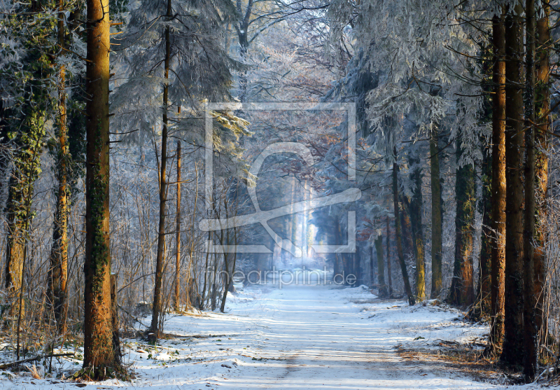 frei wählbarer Bildausschnitt für Ihr Bild auf Glas-Schneidebrett