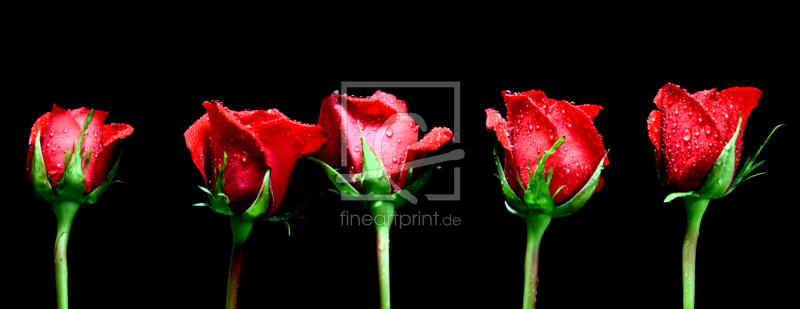 frei w&auml;hlbarer Bildausschnitt f&uuml;r Ihr Bild auf Glas-Schneidebrett