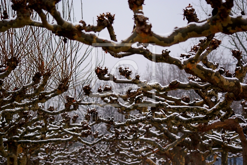 frei wählbarer Bildausschnitt für Ihr Bild auf Glas-Schneidebrett