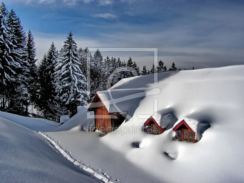 frei wählbarer Bildausschnitt für Ihr Bild auf Glas-Schneidebrett
