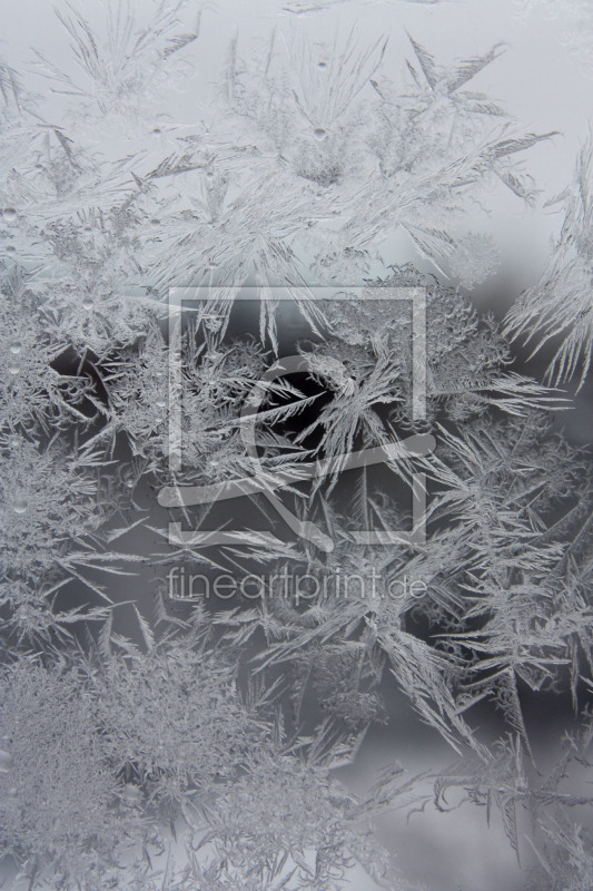 frei wählbarer Bildausschnitt für Ihr Bild auf Glas-Schneidebrett