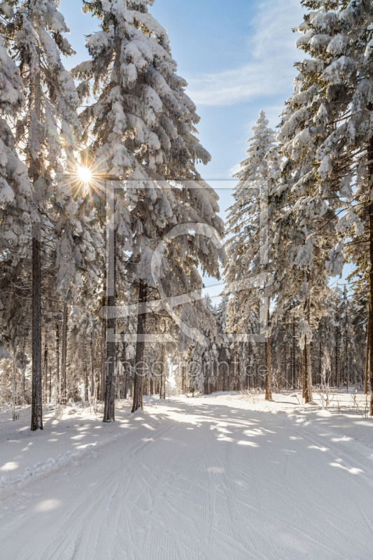 frei wählbarer Bildausschnitt für Ihr Bild auf Glas-Schneidebrett
