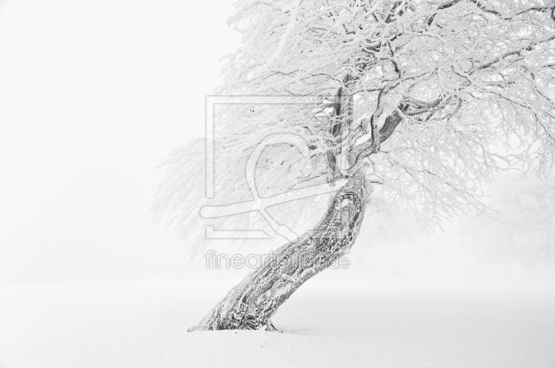 frei wählbarer Bildausschnitt für Ihr Bild auf Glas-Schneidebrett