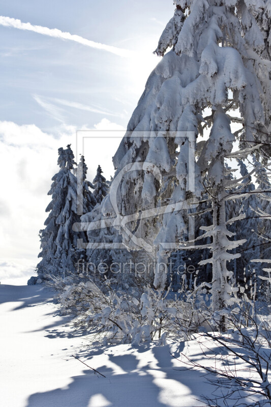 frei wählbarer Bildausschnitt für Ihr Bild auf Glas-Schneidebrett