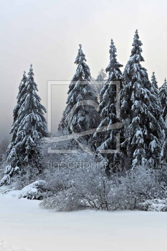 frei wählbarer Bildausschnitt für Ihr Bild auf Glas-Schneidebrett