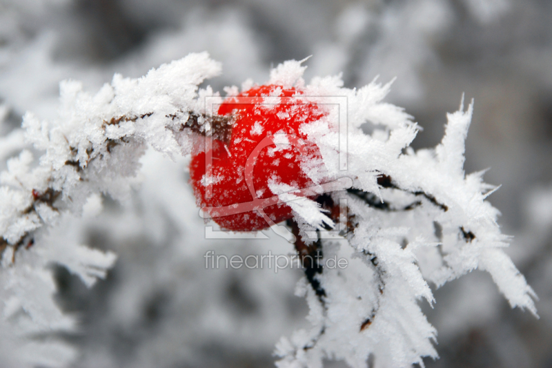 frei wählbarer Bildausschnitt für Ihr Bild auf Glas-Schneidebrett