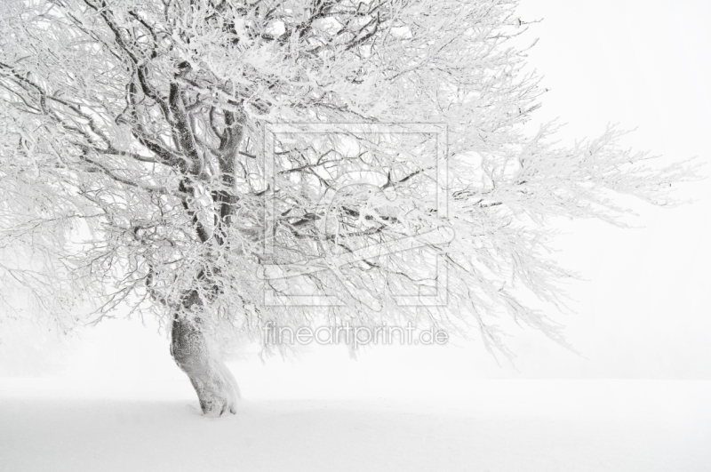 frei wählbarer Bildausschnitt für Ihr Bild auf Glas-Schneidebrett